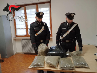 Nel Torinese sequestrati 12 chili di droga, dieci arresti
